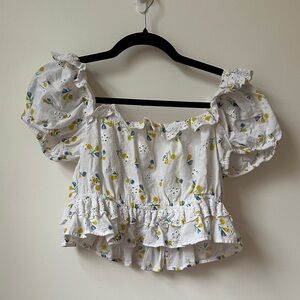 Zara Floral Embroidered ruffle blouse